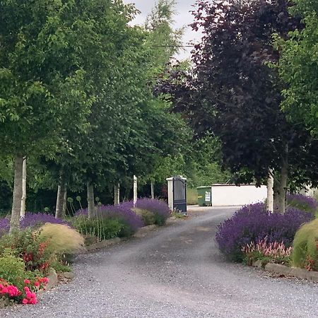 Swallow'S Rest Garden Apartment Ashbourne Exteriör bild