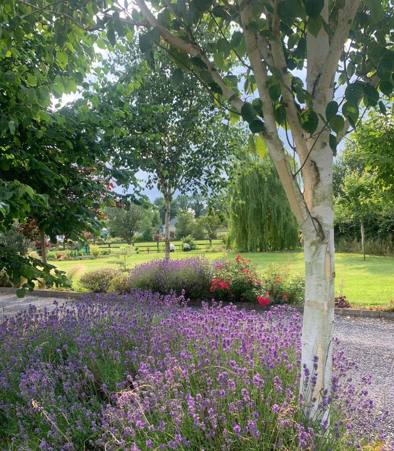 Swallow'S Rest Garden Apartment Ashbourne Exteriör bild