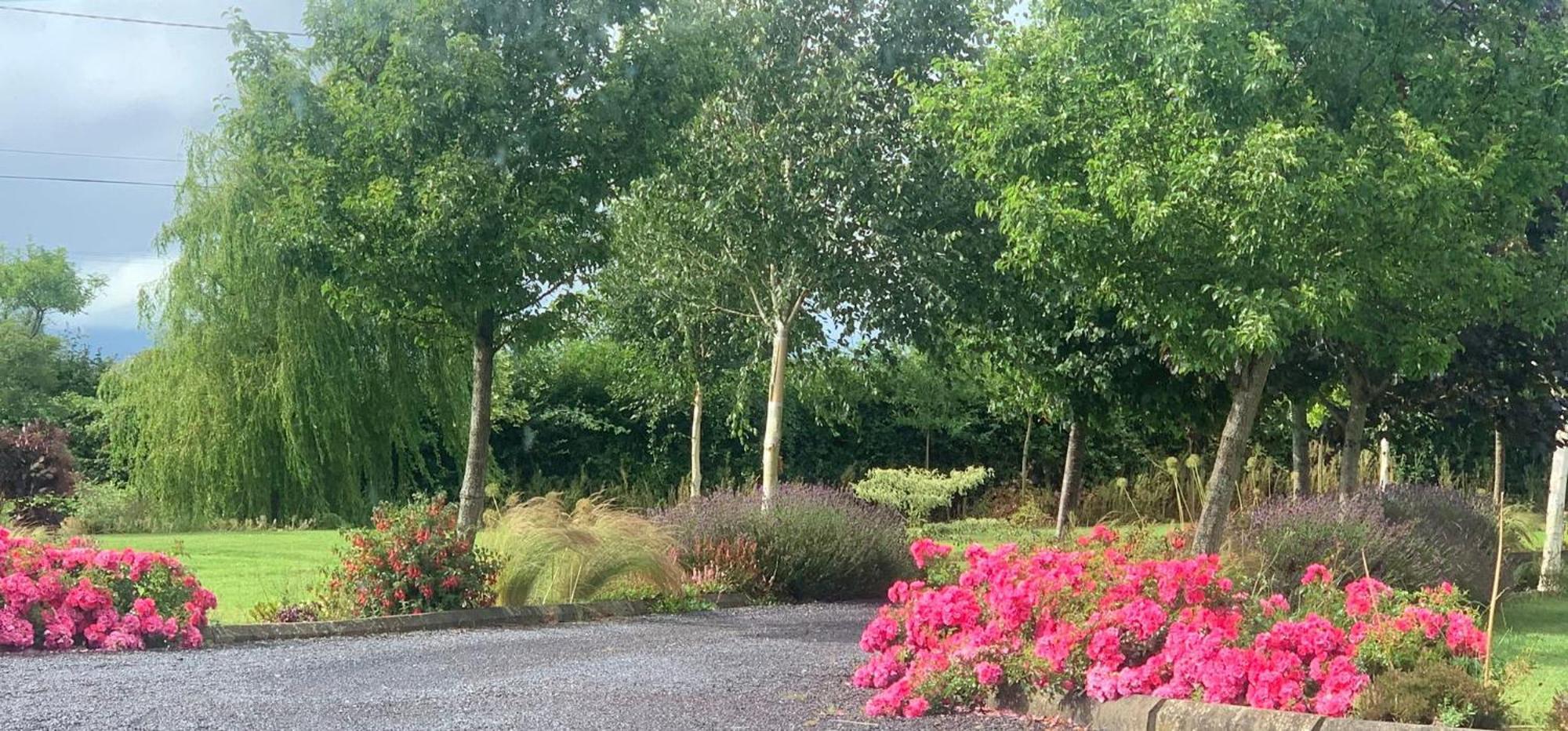 Swallow'S Rest Garden Apartment Ashbourne Exteriör bild