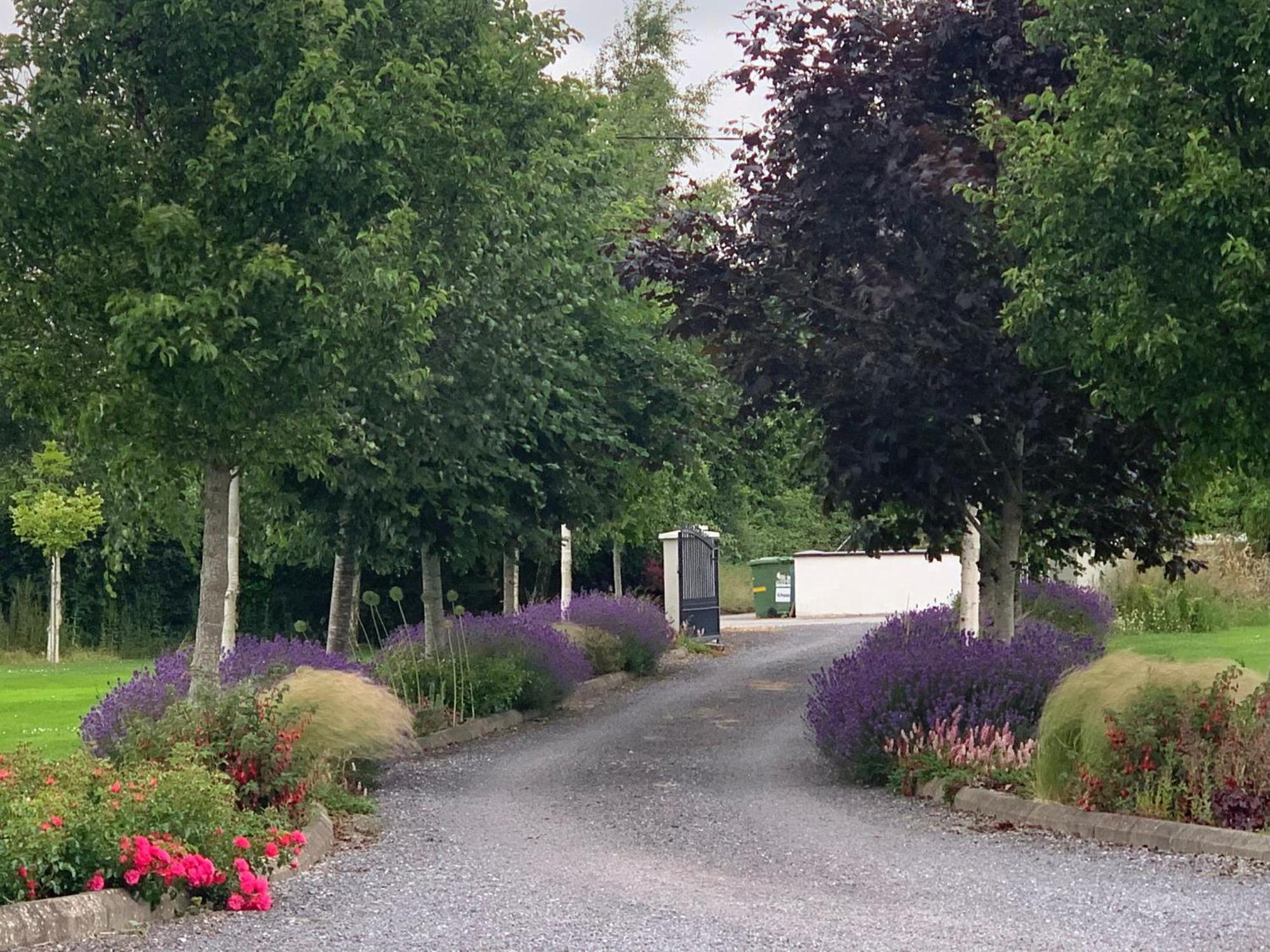 Swallow'S Rest Garden Apartment Ashbourne Exteriör bild